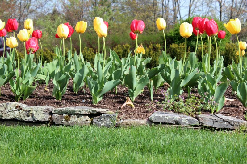Stone Edging Installation in Norwalk, CT